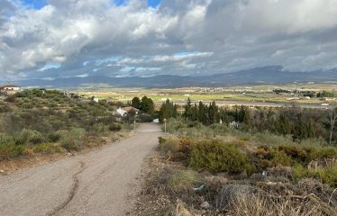 Parcela rústica en Moraleda