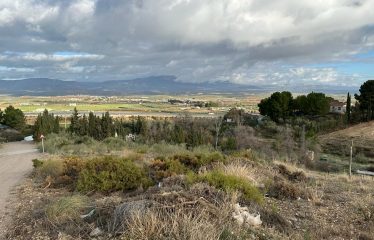 Parcela rústica en Moraleda