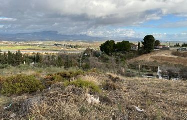 Parcela rústica en Moraleda