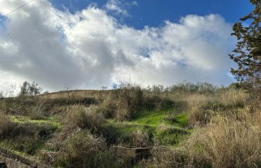 Parcela rústica en Moraleda